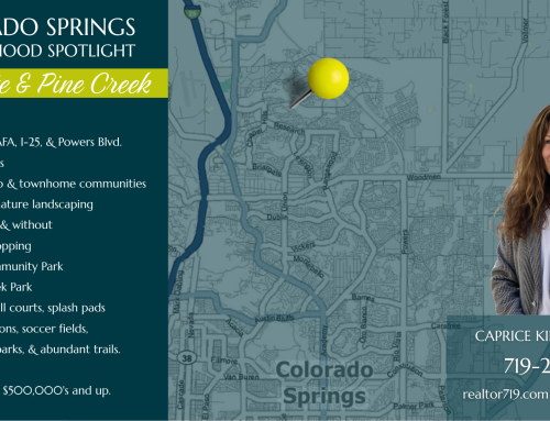 Briargate and Pine Creek — Colorado Springs Neighborhood Spotlight